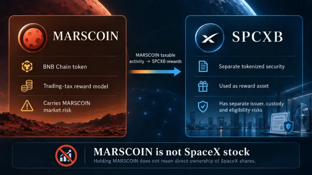 Side-by-side comparison of MARSCOIN and SPCXB showing their separate roles and risk profiles
